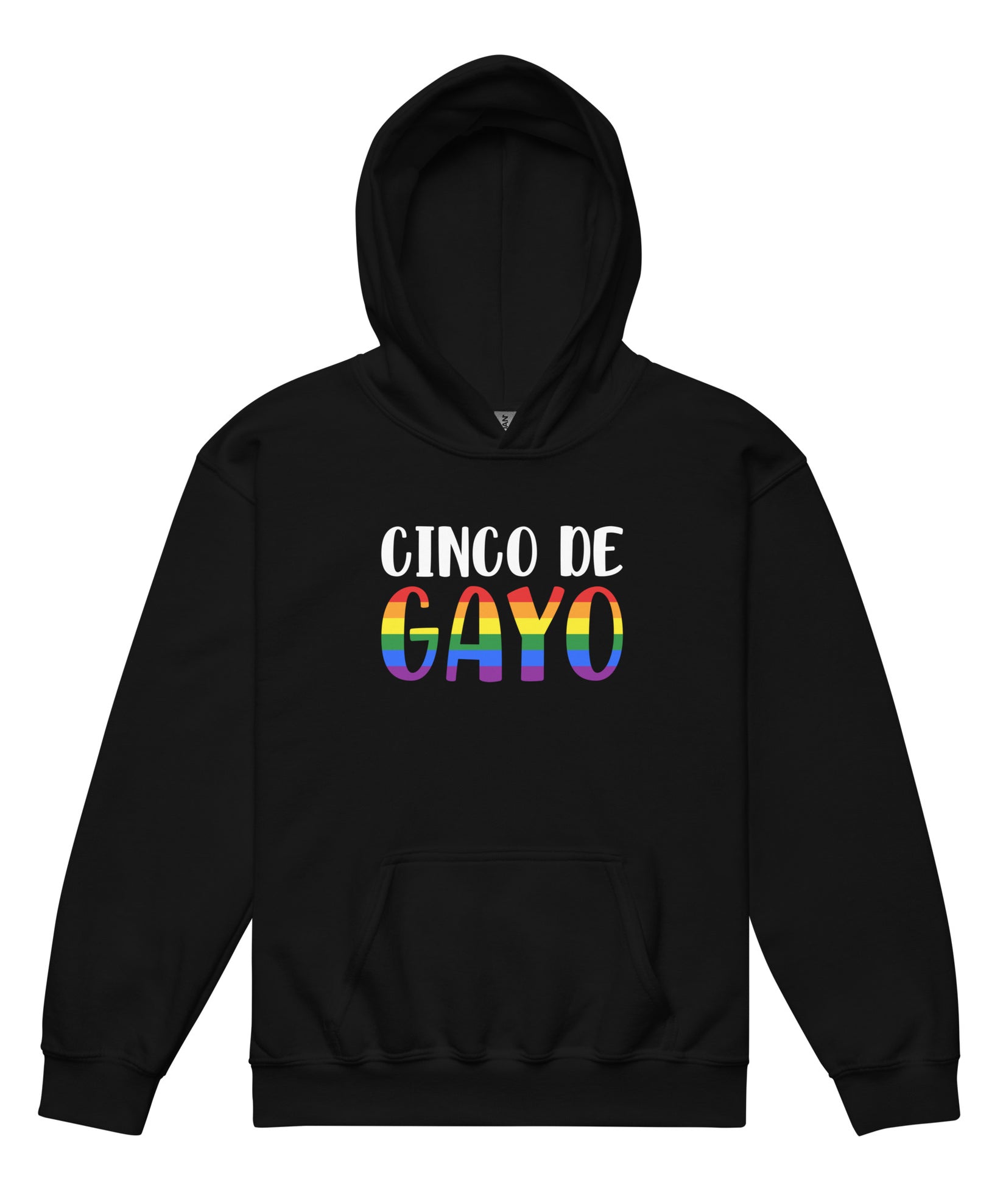 cinco de gayo - Youth heavy blend hoodie